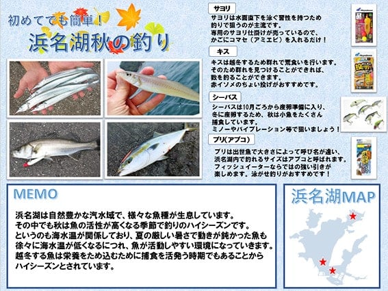 浜名湖 秋の釣り - ヤマハマリーナ浜名湖ブログ | ヤマハマリーナ浜名湖