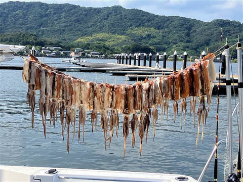 高松堀で釣れた魚