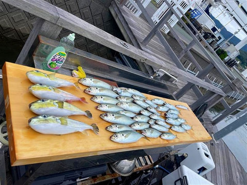 釣れた魚