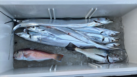 釣れた魚