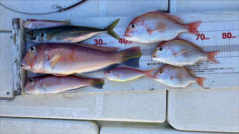 釣れた魚