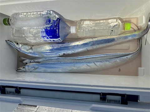 釣れた魚