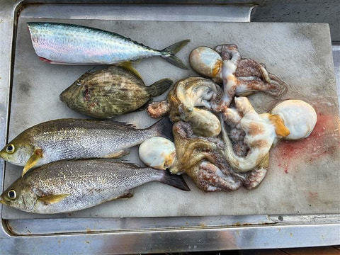 釣れた魚