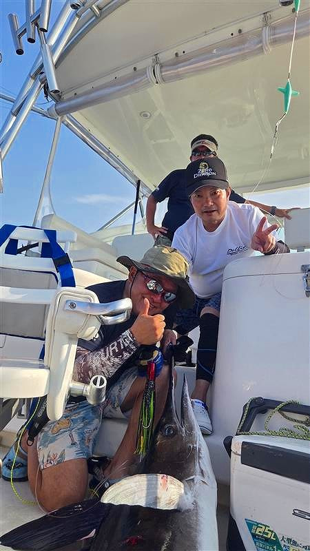 下田で釣れた魚