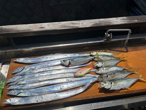 釣れた魚