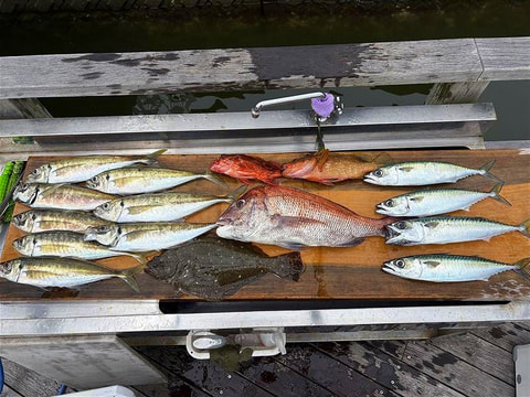 釣れた魚