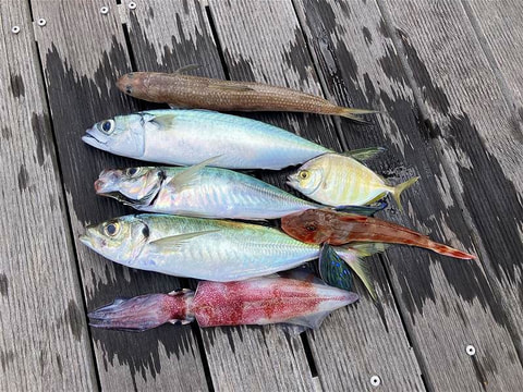 釣れた魚