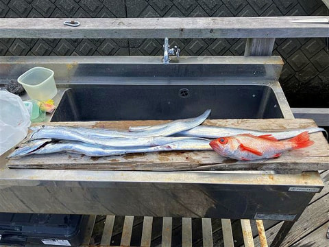 釣れた魚