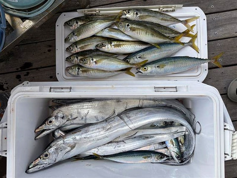 釣れた魚