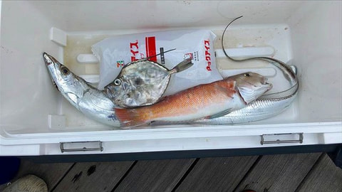 釣れた魚