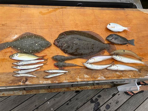 湖内で釣れた魚